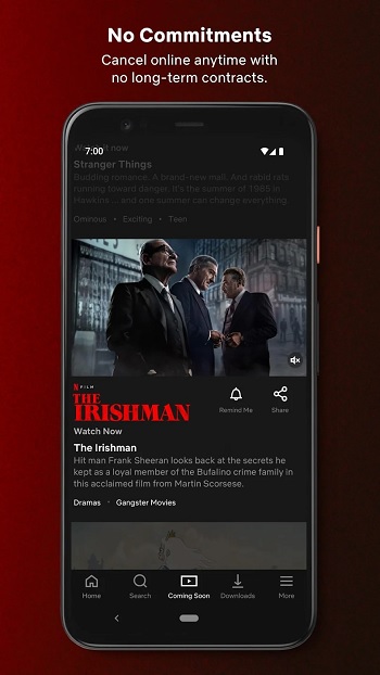 Netflix app detail